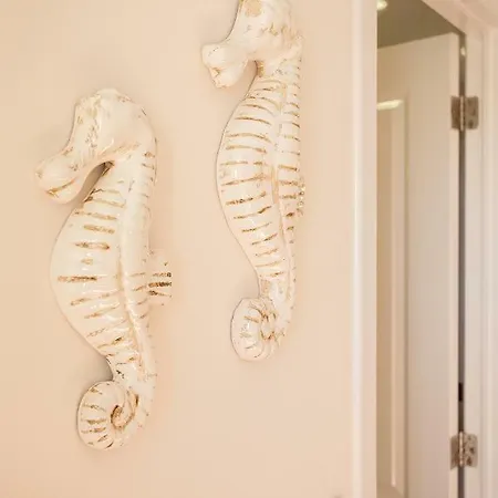 Casal Riquezo T1 - Serra Da Pescaria -